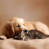 A golden retriever lies on a blanket next to a tabby kitten, both resting closely together against a soft, beige background. Wall art print available in A1 to A4 sizes.