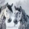 Two grey horses with black manes stand close together in a snowy outdoor setting, with snowflakes visible on their coats and in the air. Wall art print available in A1 to A4 sizes.