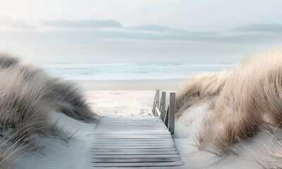 Landscape art poster print. Wooden boardwalk leading through sand dunes with beach grass towards a calm, cloudy shoreline. A1–A4 sizes.