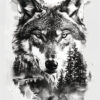 Black and white illustration of a wolf’s face with a forest, mountains, and a full moon blended into its fur and background. Wolf art print available in A1 to A4 sizes.