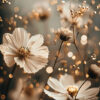 Close-up of light-colored flowers with delicate petals and yellow centres, surrounded by soft-focus lights and blurred background foliage. Floral print available in A1 to A4 sizes.