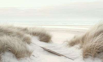 A narrow wooden boardwalk runs through tall beach grass, leading toward an empty sandy shore and a calm, overcast sea. Nature and landscape print available in A1 to A4 sizes.