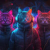 Three cats wearing headphones and jackets sit side by side, surrounded by colourful neon lights and smoke effects. Cyberpunk cat poster available in A1 to A4 sizes.
