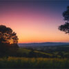 Sunset over a rural landscape with rolling hills, trees silhouetted in the foreground, and a gradient sky from orange to purple. Nature and landscape print available in A1 to A4 sizes.