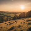 Rolling countryside landscape at sunset, with fields, hedgerows, and scattered trees under a clear sky with the sun low on the horizon. Nature and landscape print available in A1 to A4 sizes.