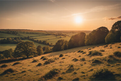 Rolling countryside landscape at sunset, with fields, hedgerows, and scattered trees under a clear sky with the sun low on the horizon. Nature and landscape print available in A1 to A4 sizes.