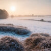 A frosty winter landscape with snow-covered fields, frosted grass, distant trees, and the sun rising in a misty sky. Nature and landscape print available in A1 to A4 sizes.