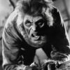 A wolf man crouches on a rock, snarling with bared teeth and claws in a dramatic black-and-white scene. Horror poster available in A1 to A4 sizes.