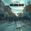 A crowd of zombies walks down an empty street in a deserted town under a cloudy sky. The Walking Dead Poster features the shows title and tagline at the top of the image. Horror poster available in A1 to A4 sizes.