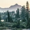 Tall evergreen trees and rocky terrain with a distant mountain peak under a hazy sky. Nature and landscape poster print available in A1 to A4 sizes.