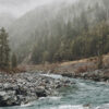 product-image-11-14 A mountain river flows over rocks through a forested, misty landscape, with pine trees and fog veiling the background. Nature and landscape poster print available in A1 to A4 sizes.