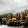 A forest river flows in the foreground with dense, autumn-colored trees on the banks and mist-covered hills rising in the background under a cloudy sky. Nature and landscape poster print available in A1 to A4 sizes.
