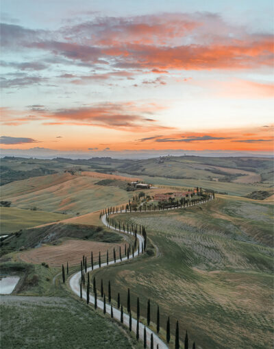 product-image-11-14 Winding road to the villa lined with tall cypress trees curves through rolling hills under a colourful sunset sky. Nature and landscape poster print available in A1 to A4 sizes.