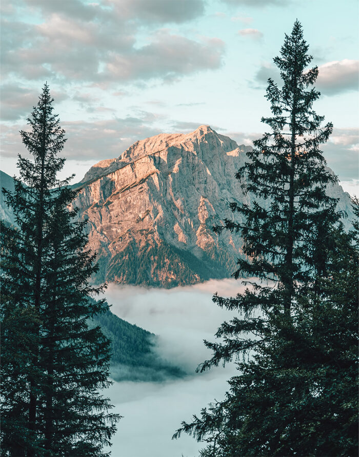 A tall, rocky mountain peak is illuminated by sunlight, framed by pine trees in the foreground, with clouds or mist covering the lower landscape. Nature and landscape poster print available in A1 to A4 sizes.