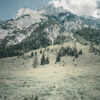 Grassy meadow with scattered trees in the foreground nestles in the mountain foothills, leading to rugged, rocky peaks under a partly cloudy sky in the background. Nature and landscape poster print available in A1 to A4 sizes.