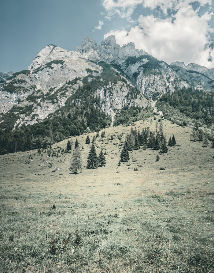 product-image-11-14 Grassy meadow with scattered trees in the foreground nestles in the mountain foothills, leading to rugged, rocky peaks under a partly cloudy sky in the background. Nature and landscape poster print available in A1 to A4 sizes.