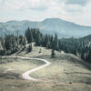 A winding hiking trail curves through grassy hills and pine trees, with forested mountains and a cloudy sky in the background. Nature and landscape poster print available in A1 to A4 sizes.