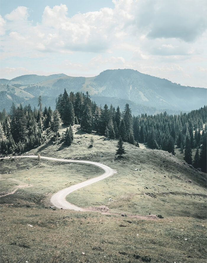 A winding hiking trail curves through grassy hills and pine trees, with forested mountains and a cloudy sky in the background. Nature and landscape poster print available in A1 to A4 sizes.