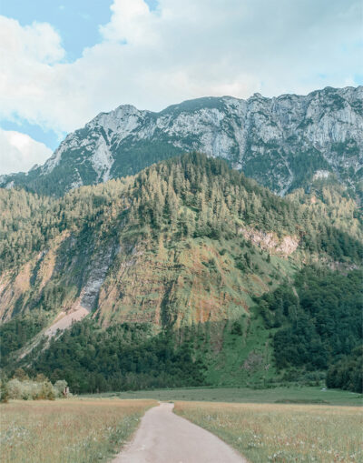 A narrow mountain path winds through a grassy field toward a forested mountain with rocky slopes under a partly cloudy sky. Nature and landscape poster print available in A1 to A4 sizes.
