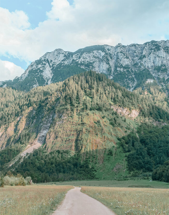A narrow mountain path winds through a grassy field toward a forested mountain with rocky slopes under a partly cloudy sky. Nature and landscape poster print available in A1 to A4 sizes.