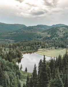 Forest Lake 2