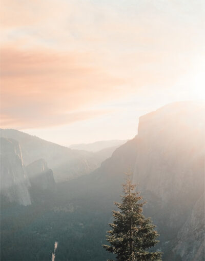 A single pine tree stands in the foreground, silhouetted against misty mountains and a brilliant mountain sunrise illuminating the hazy sky. Nature and landscape poster print available in A1 to A4 sizes.