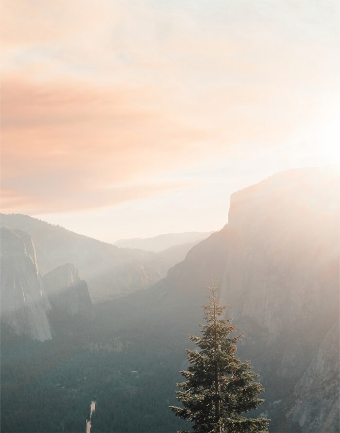 product-image-11-14 A single pine tree stands in the foreground, silhouetted against misty mountains and a brilliant mountain sunrise illuminating the hazy sky. Nature and landscape poster print available in A1 to A4 sizes.