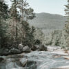 A rocky stream winds through a forest stone landscape, bordered by tall trees, with a mountain rising in the background under a clear sky. Nature and landscape poster print available in A1 to A4 sizes.