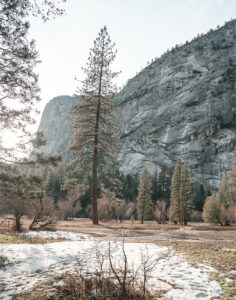 Forest Cliff