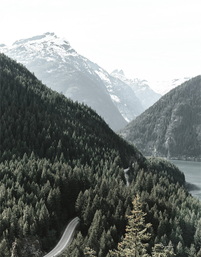 product-image-11-14 A winding stretch of Road runs through dense pine forests, with snow-capped mountains and a tranquil lake in the background. Nature and landscape poster print available in A1 to A4 sizes.