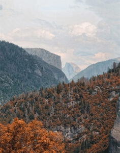 Mountain View 5