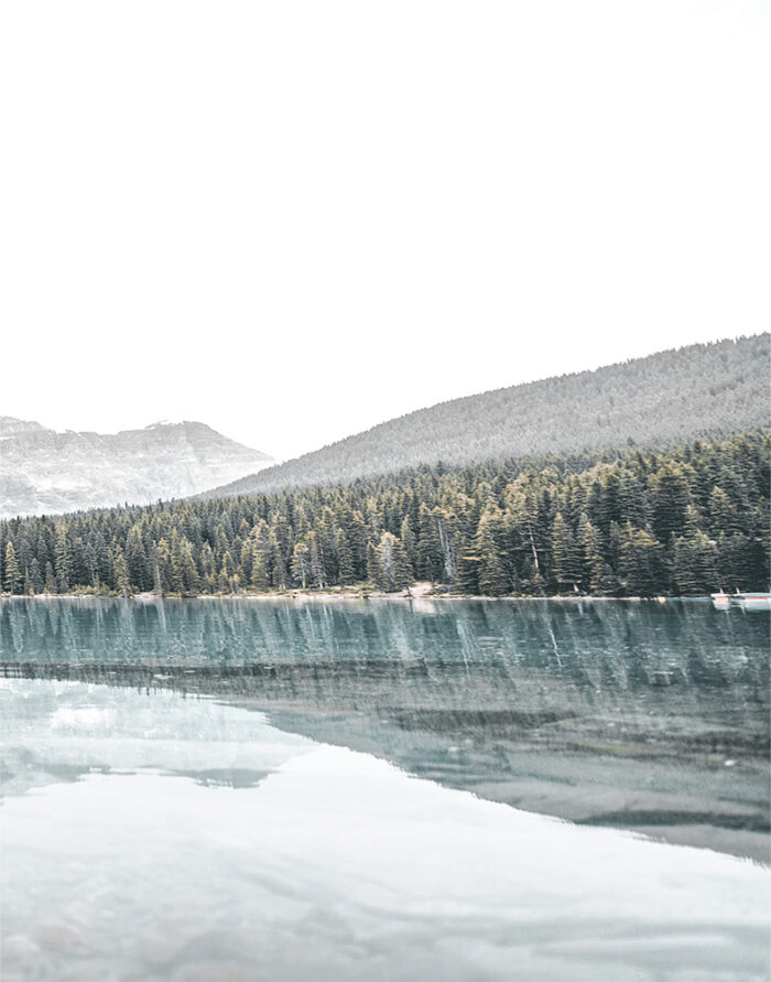 A calm mountain lake reflects a dense forest of evergreen trees with mountains in the background under an overcast sky. Nature and landscape poster print available in A1 to A4 sizes.