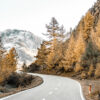 A winding Mountain Road curves through a forest of autumn-colored trees, with snow-capped mountains in the background under a clear sky. Nature and landscape poster print available in A1 to A4 sizes.