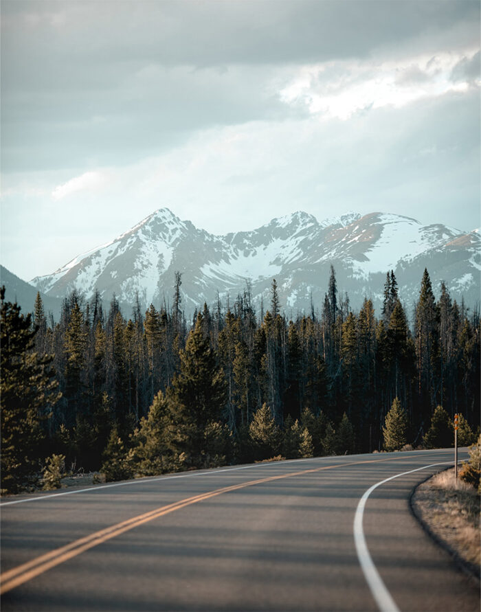 product-image-11-14 A paved mountain road curves through a forest with tall pine trees, leading toward distant snow-capped mountains under a cloudy sky. Nature and landscape poster print available in A1 to A4 sizes.