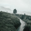 A winding mountain road curves through green hills toward a lone tree, with distant mountains and a cloudy sky in the background. Nature and landscape poster print available in A1 to A4 sizes.
