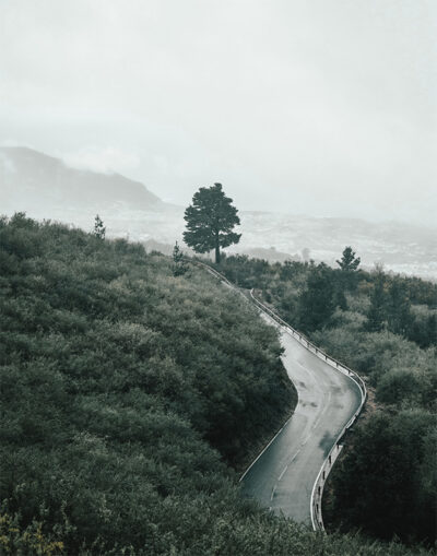 A winding mountain road curves through green hills toward a lone tree, with distant mountains and a cloudy sky in the background. Nature and landscape poster print available in A1 to A4 sizes.