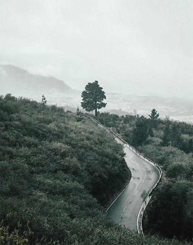 product-image A winding mountain road curves through green hills toward a lone tree, with distant mountains and a cloudy sky in the background. Nature and landscape poster print available in A1 to A4 sizes.