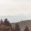 Layered mountain ridges fade into the distance under a hazy sky, with evergreen trees in the foreground, creating a tranquil forest hills landscape. Nature and landscape poster print available in A1 to A4 sizes.