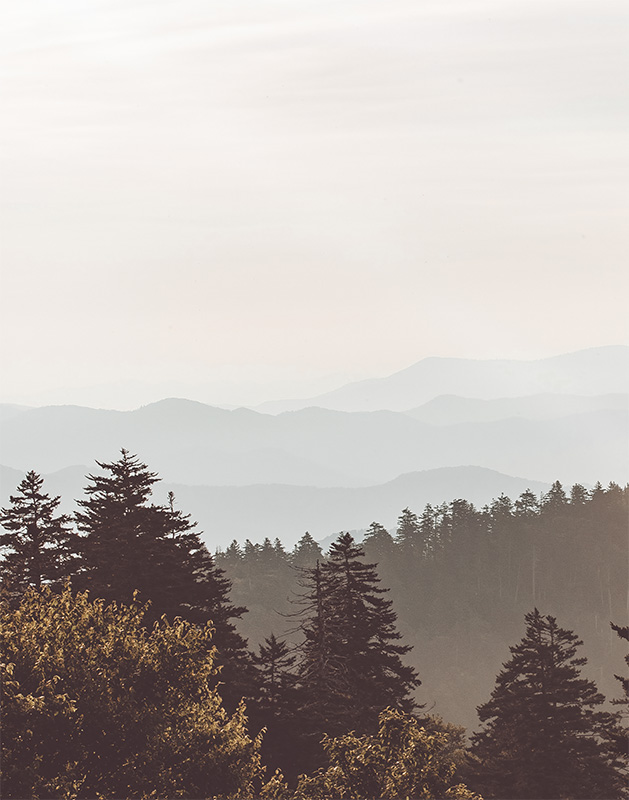 product-image Layered mountain ridges fade into the distance under a hazy sky, with evergreen trees in the foreground, creating a tranquil forest hills landscape. Nature and landscape poster print available in A1 to A4 sizes.