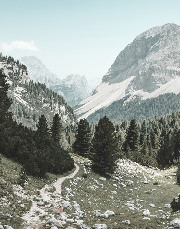 product-image A narrow hiking trail winds through grassy terrain with scattered rocks and pine trees, leading toward large, rugged mountains under a pale sky. Nature and landscape poster print available in A1 to A4 sizes.