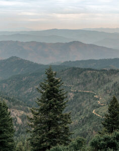 Hillscape
