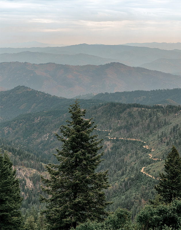 View of a winding dirt road cutting through dense green forested hills with layered mountain ranges in the distance under a cloudy sky. Nature and landscape poster print available in A1 to A4 sizes.
