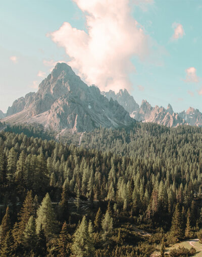 The dramatic Mountain Range 3 features jagged peaks soaring above a dense forest of evergreen trees beneath a partly cloudy sky. Nature and landscape poster print available in A1 to A4 sizes.