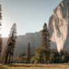A scenic landscape featuring tall pine trees, a grassy meadow, and a large granite cliff under a clear sky. Nature and landscape poster print available in A1 to A4 sizes.