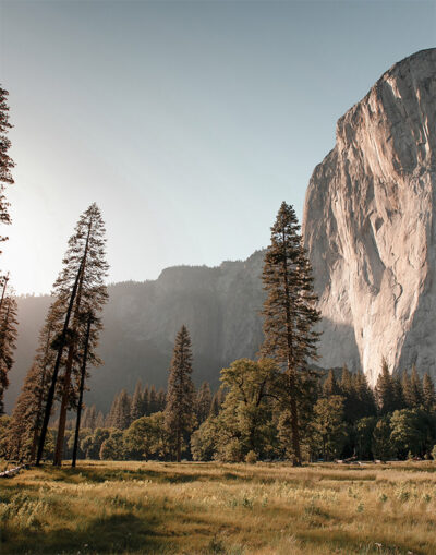 A scenic landscape featuring tall pine trees, a grassy meadow, and a large granite cliff under a clear sky. Nature and landscape poster print available in A1 to A4 sizes.