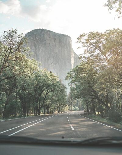 A paved road curves through a forested area with a large granite cliff, El Capitan, rising in the background under a bright sky. Nature and landscape poster print available in A1 to A4 sizes.
