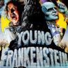 Illustrated movie poster for Mel Brooks’ 1974 movie Young Frankenstein, showing a frightened scientist, a monster in a tuxedo, a castle on a hill, and the film title in large stone-textured letters. Movie poster print available in A1 to A4 sizes.