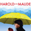An older woman and a young man stand under a large yellow umbrella with raindrops falling, below the red title Harold and Maude, from the 1971 movie. Movie poster print available in A1 to A4 sizes.
