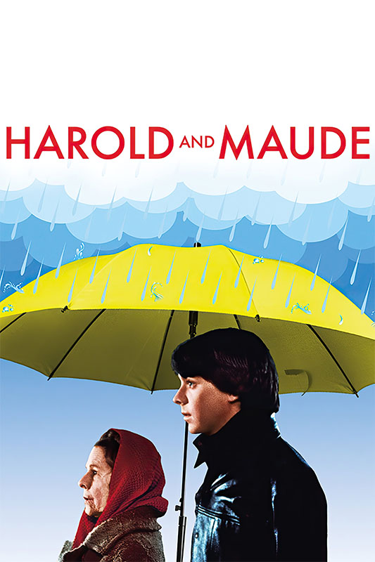 Product-Image_0007_Harold and Maude.jpg An older woman and a young man stand under a large yellow umbrella with raindrops falling, below the red title Harold and Maude, from the 1971 movie. Movie poster print available in A1 to A4 sizes.