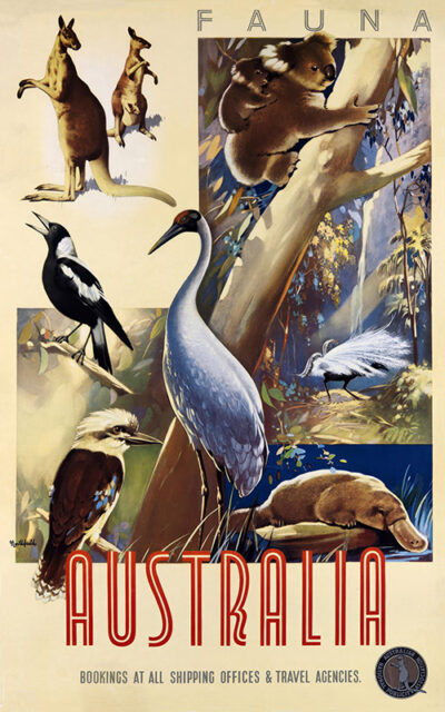Vintage Travel Poster Australia featuring iconic fauna, including kangaroo, koala, magpie, emu, kookaburra, platypus, and echidna. Inspired by James Northfield style. Text reads Fauna Australia. Poster print available in A1 to A4 sizes.